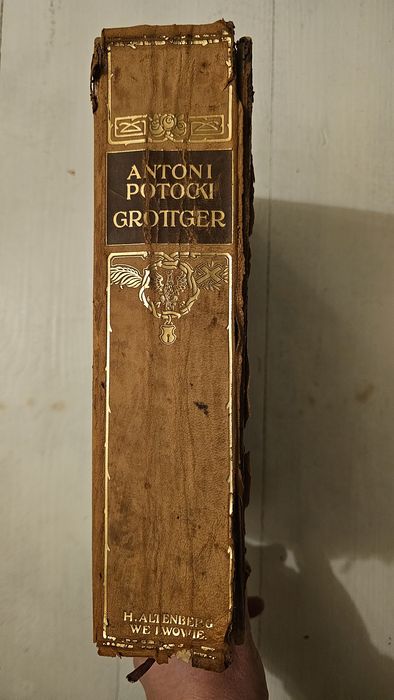 Antoni Potocki Grottger