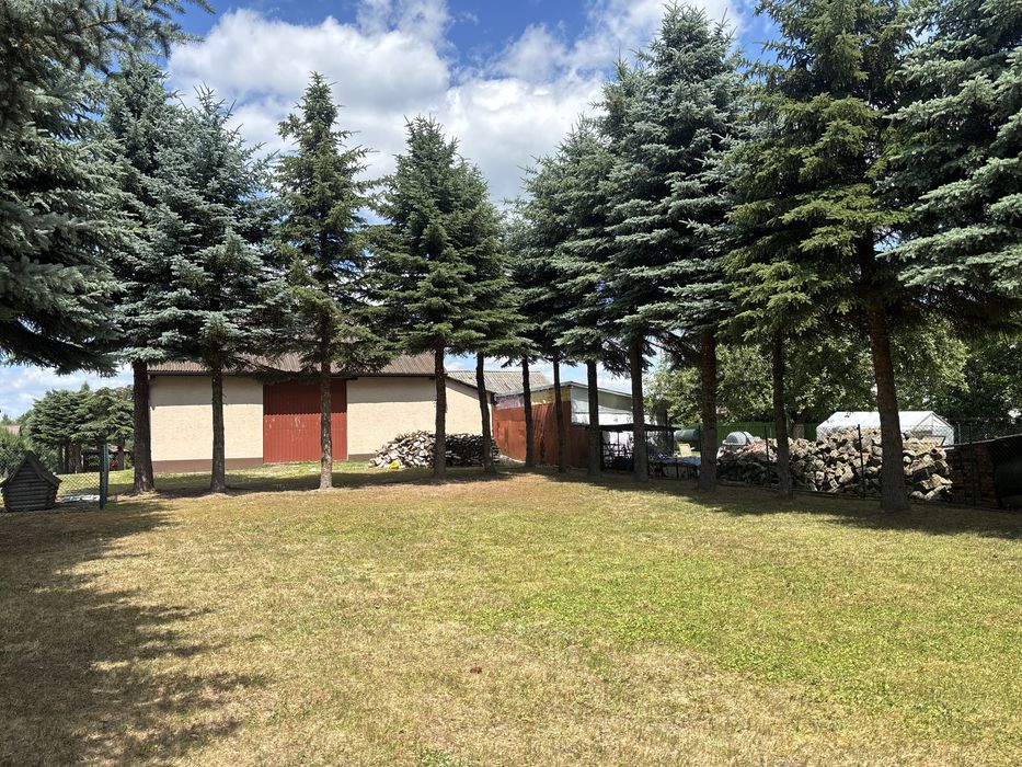 Prace ogrodowe/pielegnacja ogrodow