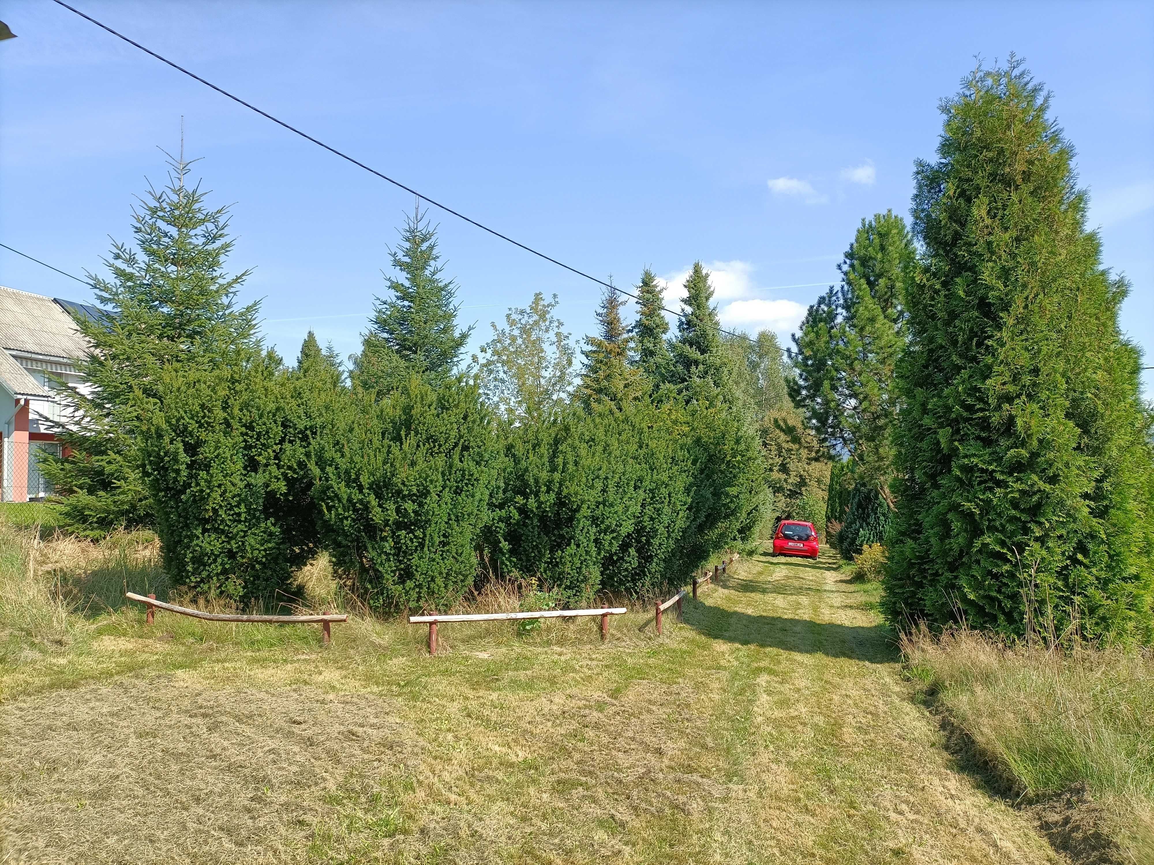 działka budowlana 16 arów z domkiem rekreacyjnym koło Jordanowa