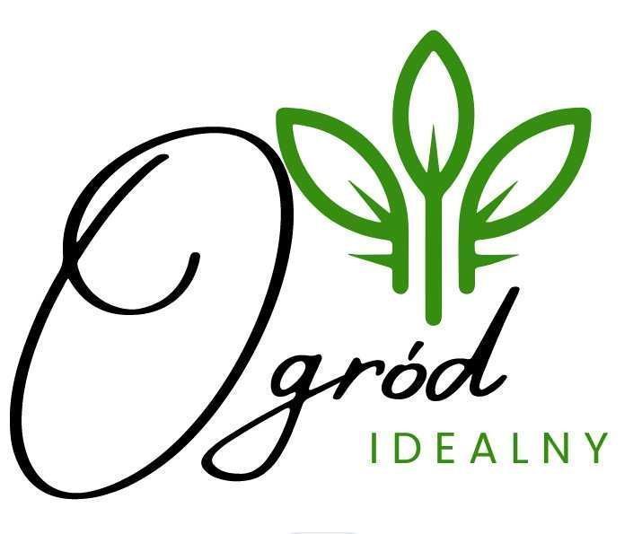 Cebulki TULIPANÓW 50 szt Tulipan zestaw mix mieszanka Tulipany KWIATY