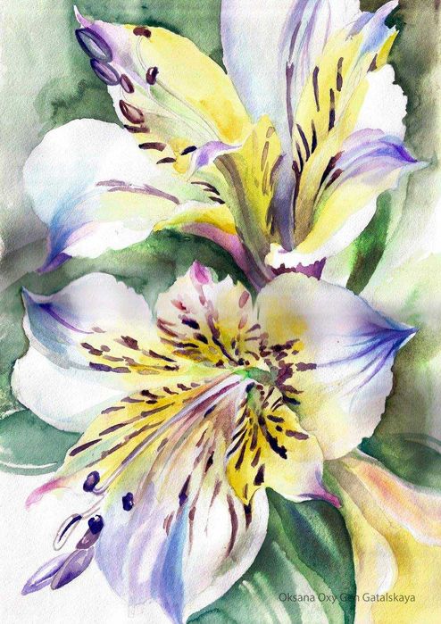 Piękne akwarele z kwiatami
