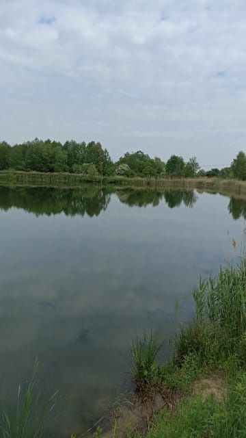 Sprzedam kopalnię piasku 24ha