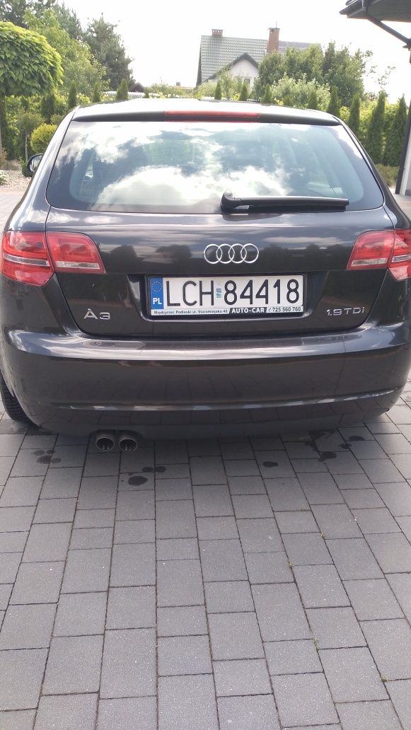 Audi A3 8P 1.9 TDI 2009 stan bdb