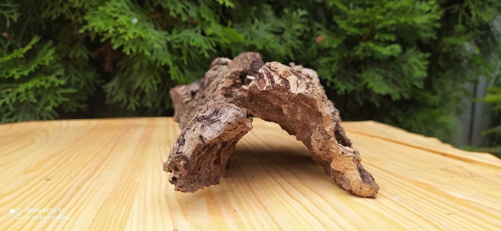 Grota z dębu korkowego+10 kamieni bazaltowych