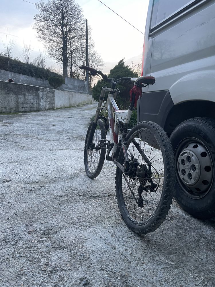 Bicicleta ds 2010