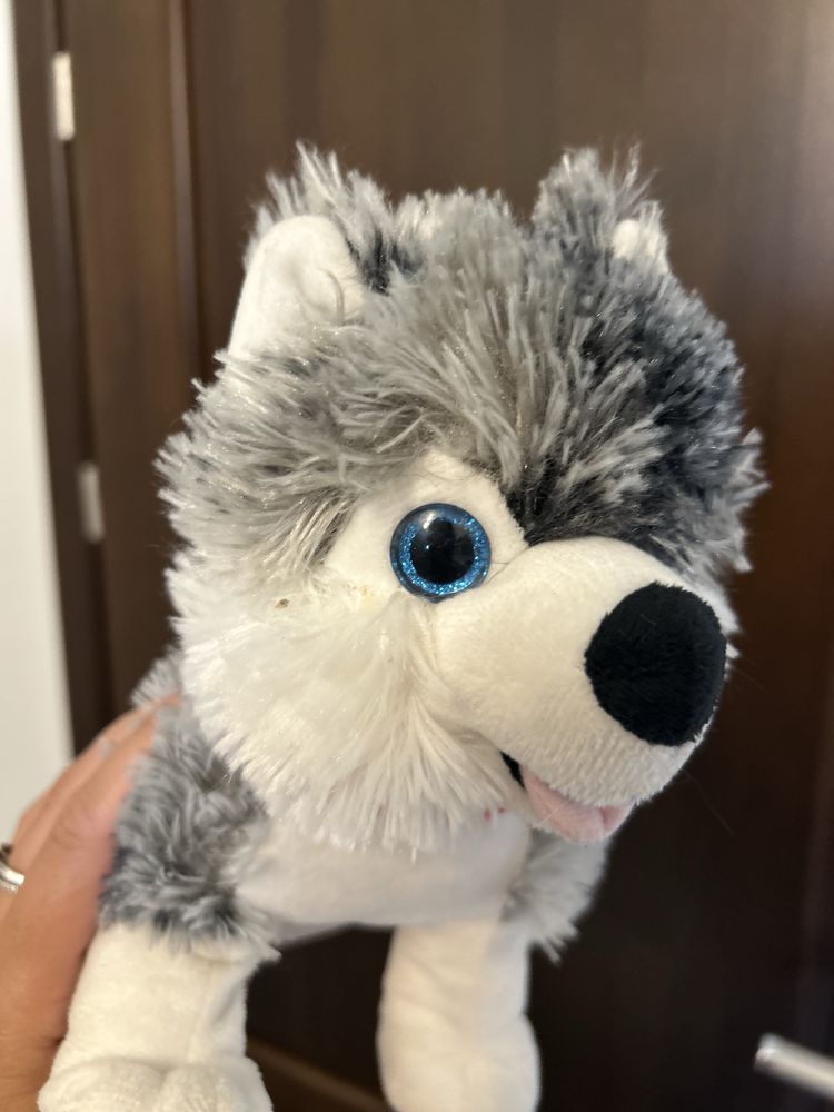 Maskotka piesek husky
