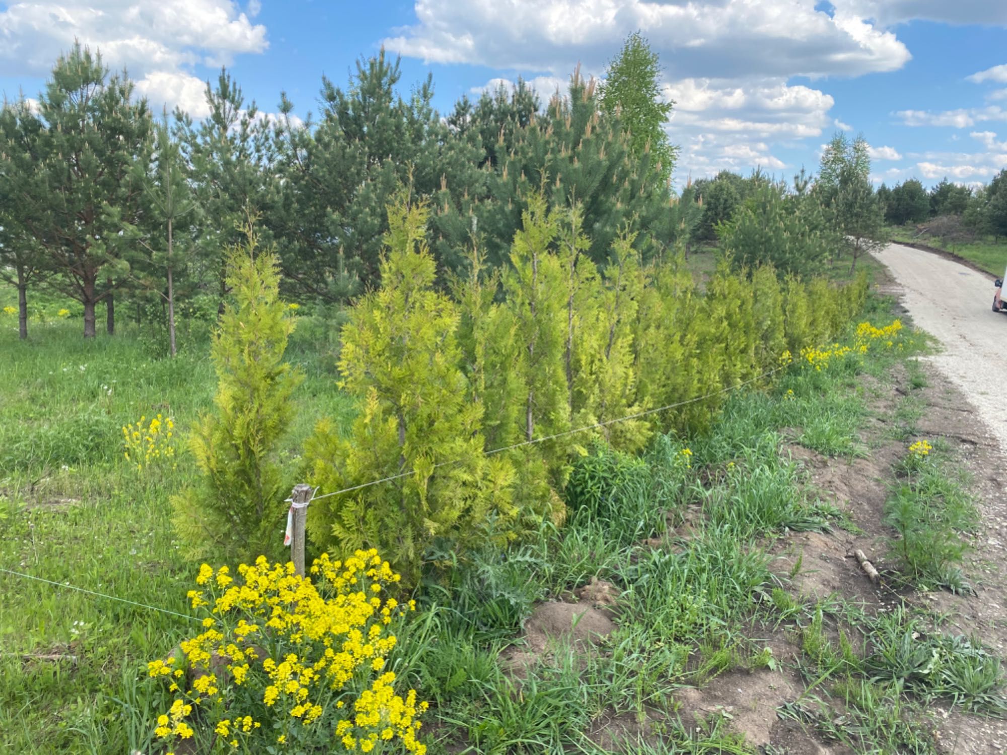 Продам земельну ділянку біля Хмельницького