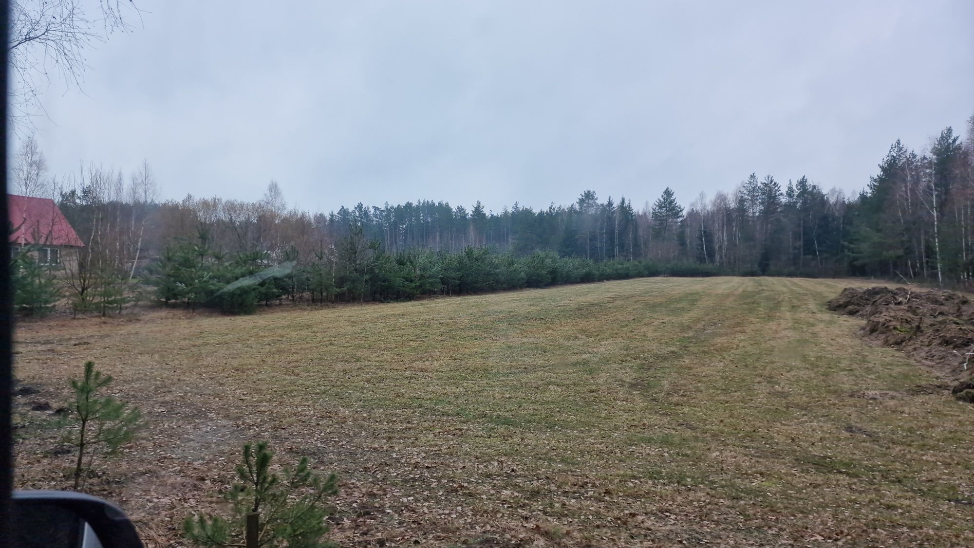 Działka w Puszczy Knyszyńskiej - piękna lokalizacja