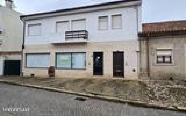 Loja  Freixo Espada Cinta