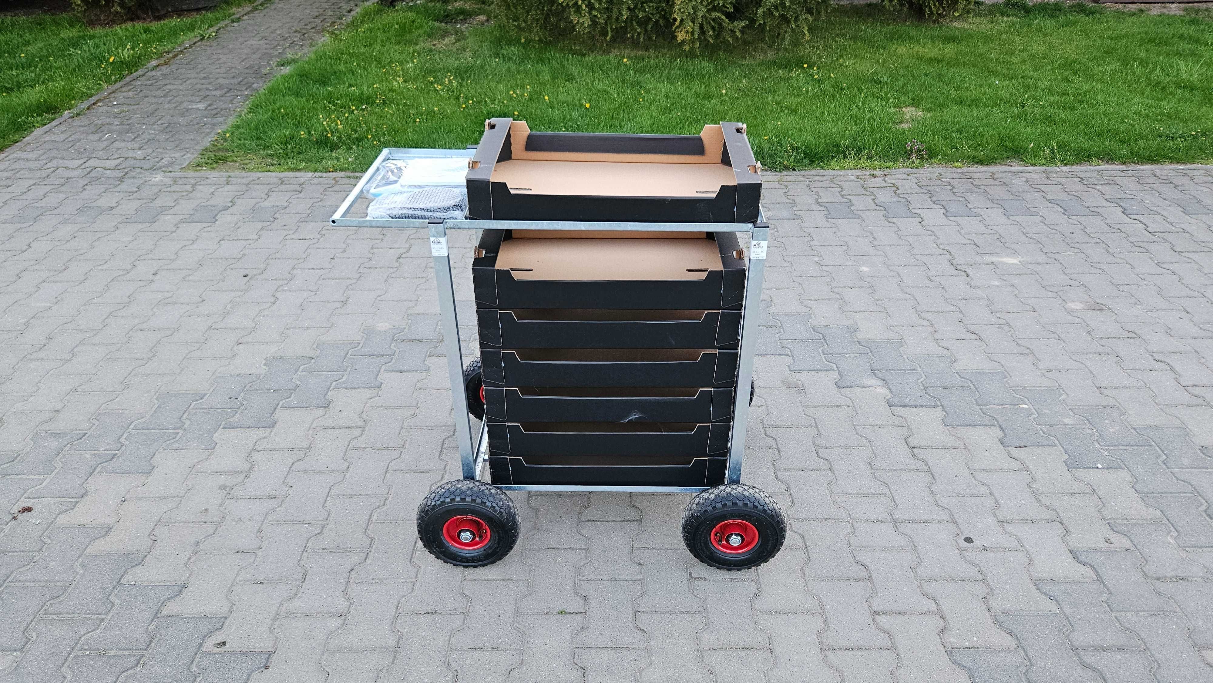 Wózek transportowy tunel wózeczki do zbioru borówka malin truskawki FV