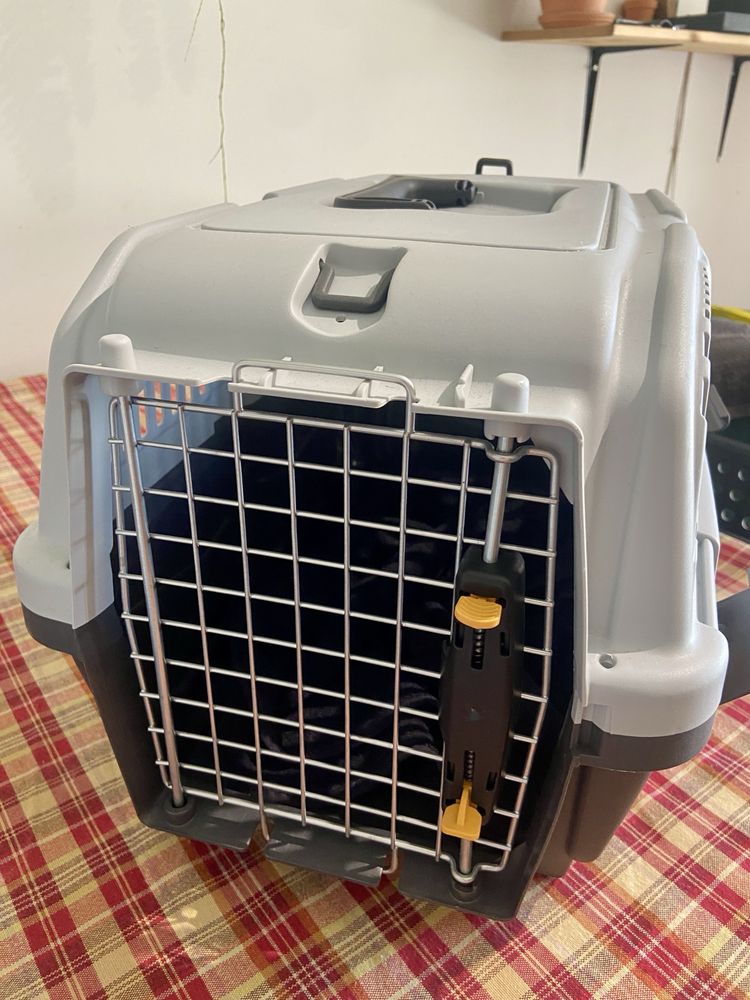 Caixa transportadora gato e cão - transporte