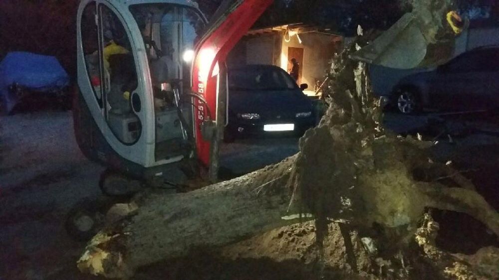 Usługi minikoparką koparką