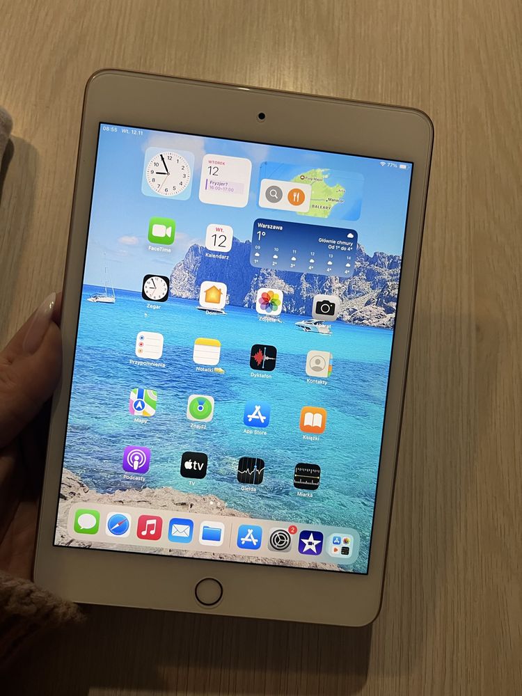 iPad mini tablet  Wi-Fi 256GB  Gold model A2133 jak nowy