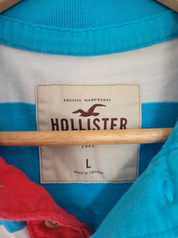 Biało niebieska koszulka polo Hollister