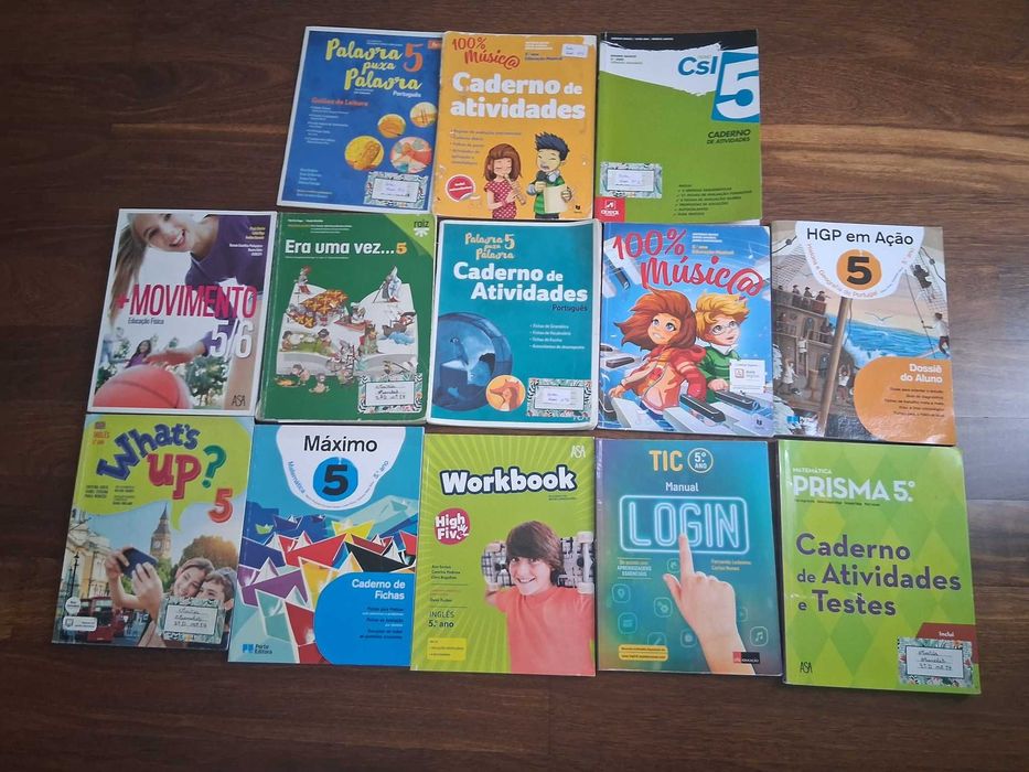 Manuais e cadernos de atividade de 5,6,7 8 ano