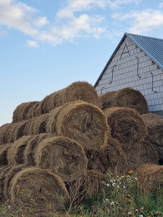 Bele bela słomy słoma na ściółkę