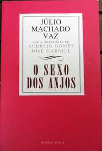 Livro "O Sexo dos Anjos", Júlio Machado Vaz