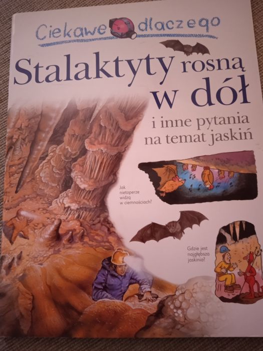 Stalaktyty rosną w dół i inne pytania na temat jaskiń