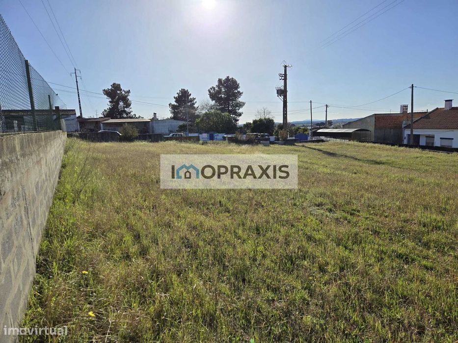 Lote Urbano situado na Carregueira – Chamusca- Santarém