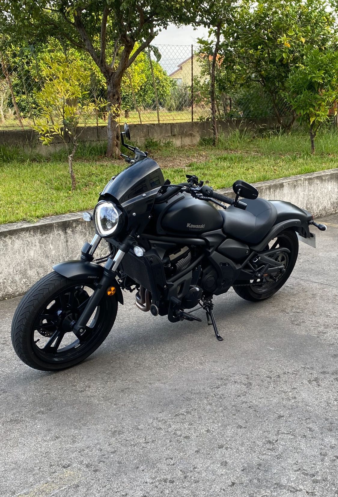 Kawasaki Vulcan S Performance