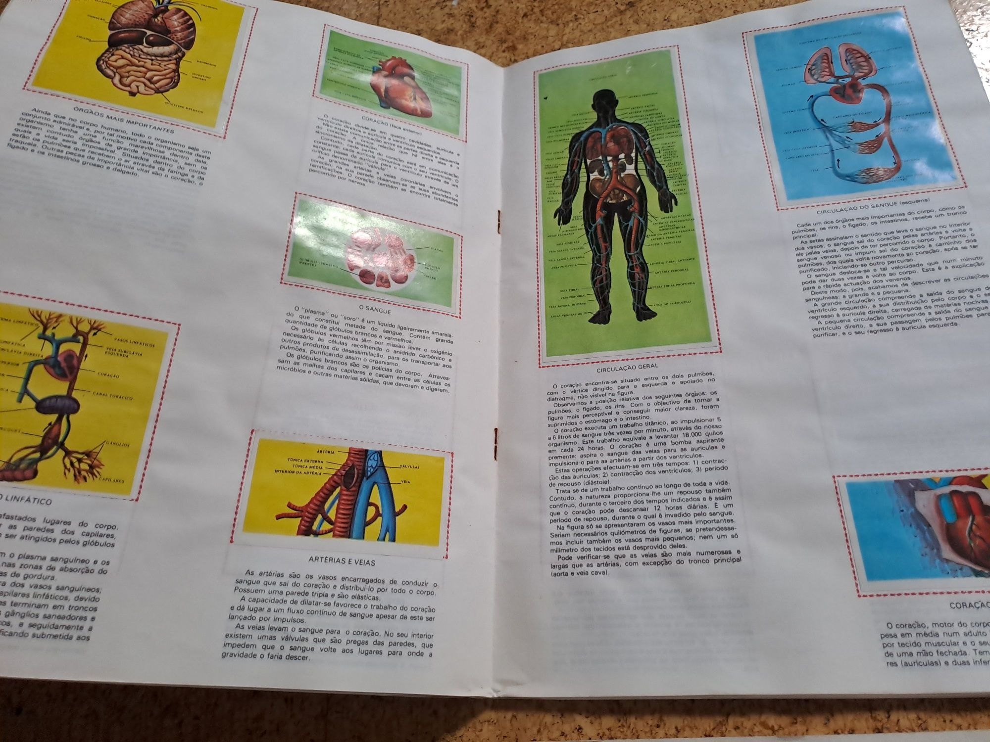Cadernetas cromos completas