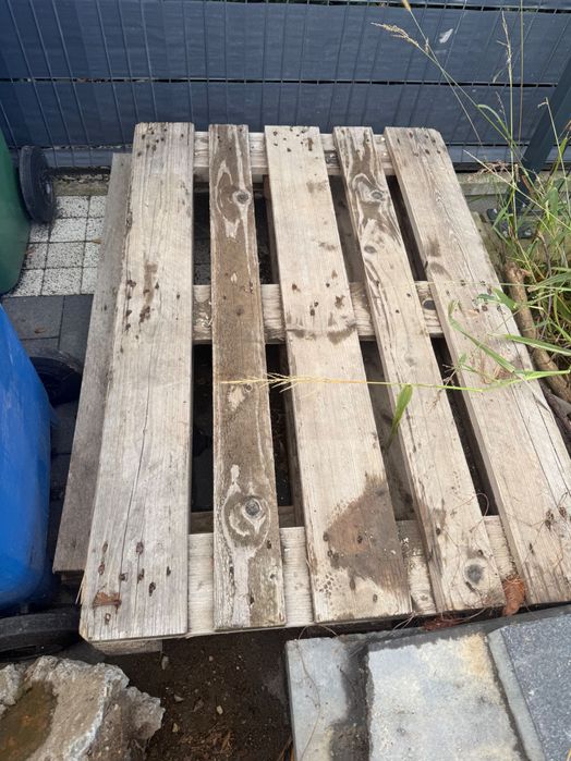 Palety oddam za darmo