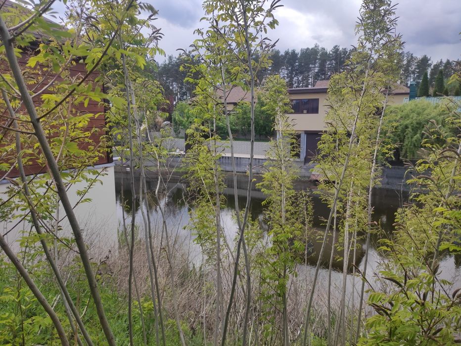 Продаж земельної ділянки  с. Свідівок