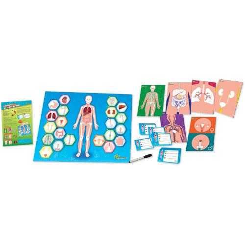 Jogo de tabuleiro Descoberta Corpo Humano Science4you SELADO