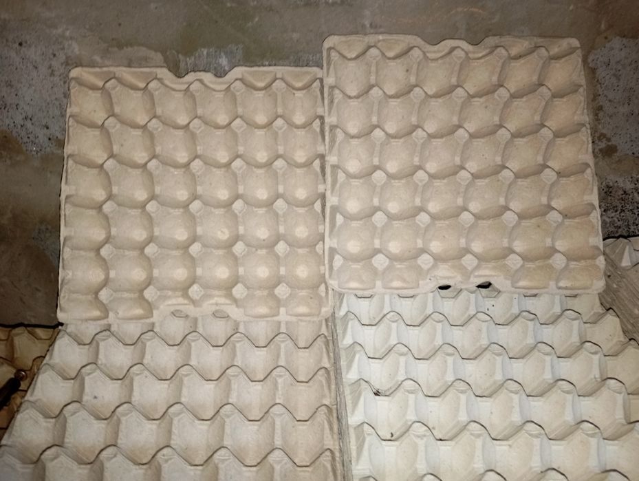 Яичный лоток на 30 яиц(80 коп./шт)