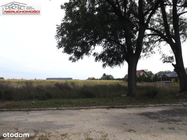 Działka idealna pod inwestycję.