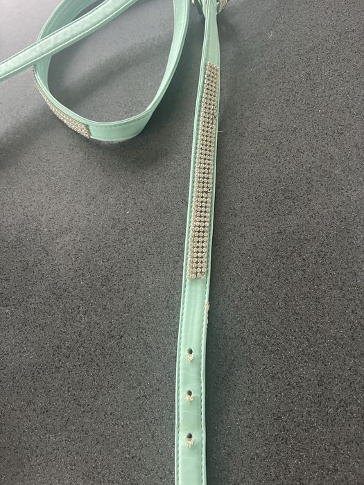 Obroza u smycz dla psa.Smycz 186 cm