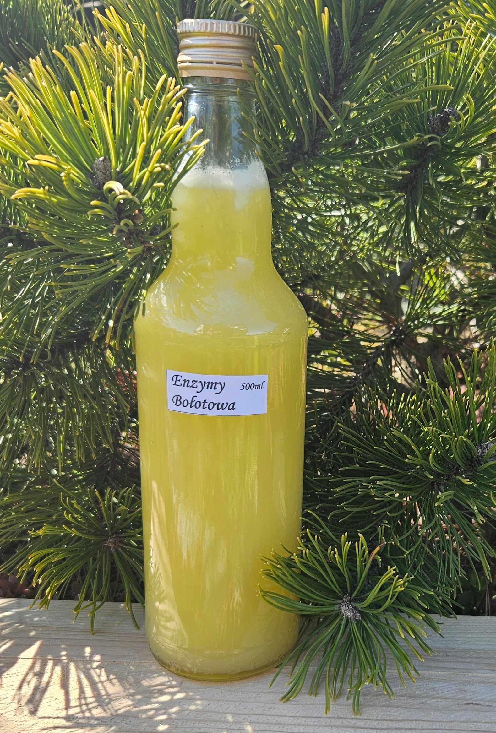 Kwas Enzymy Bołotowa na koziej serwatce 4x500ml 2 litry