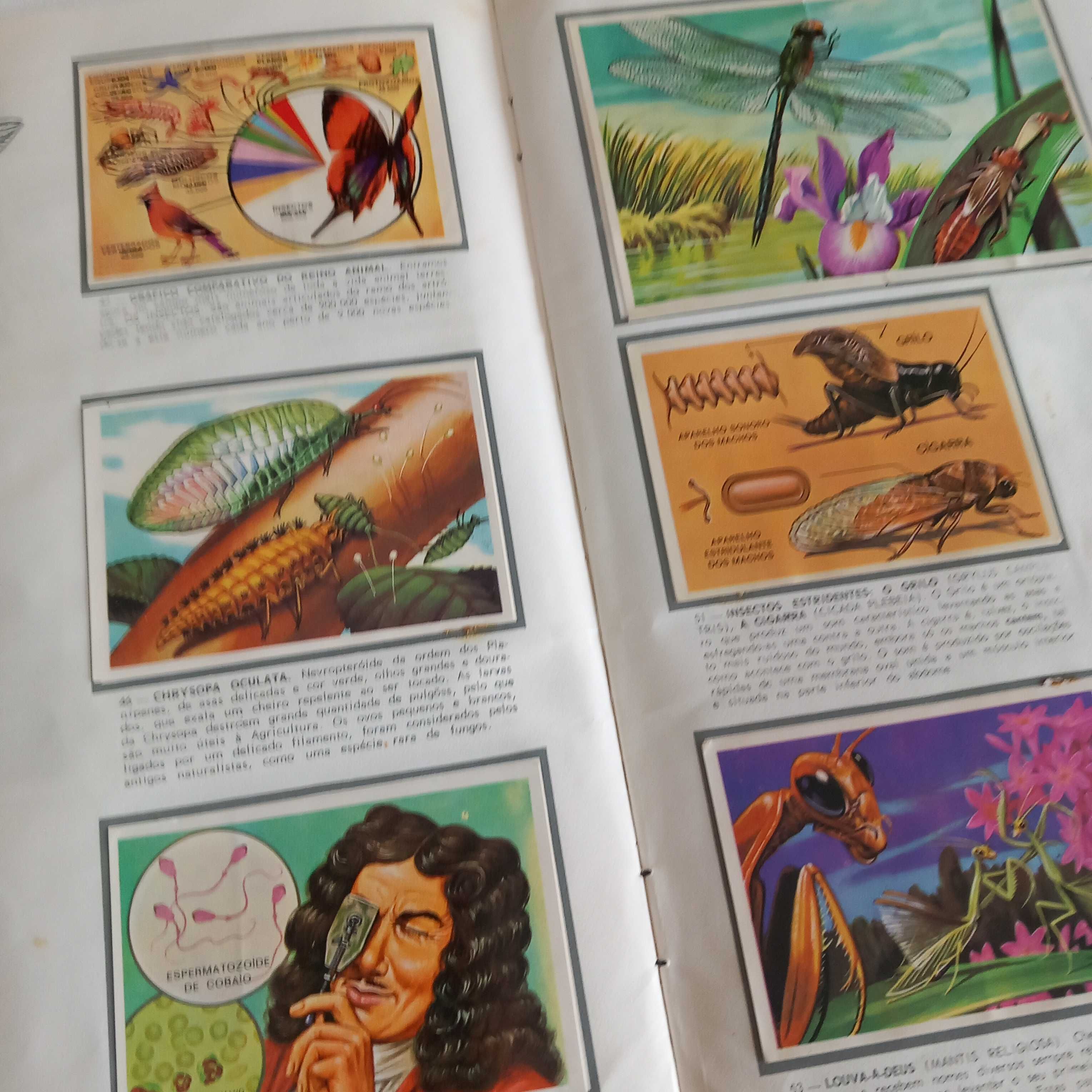 Caderneta de cromos completa Panorama Zoológico