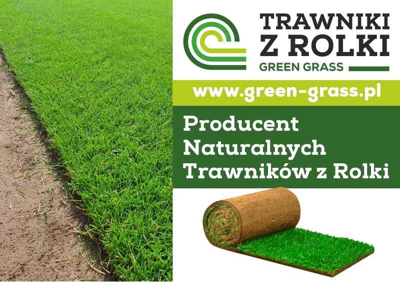 Trawniki z rolki Green Grass/ Trawa z plantacji/Producent