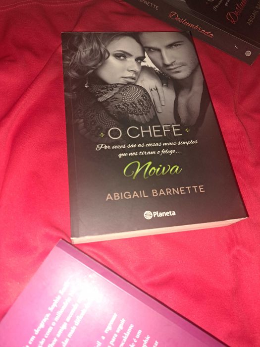 Livro O Chefe de Abigail Barnette - praticamente novos