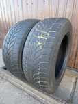 Шини всесезонні  225/60/r16, Bridgestone Blizzak LM-32.