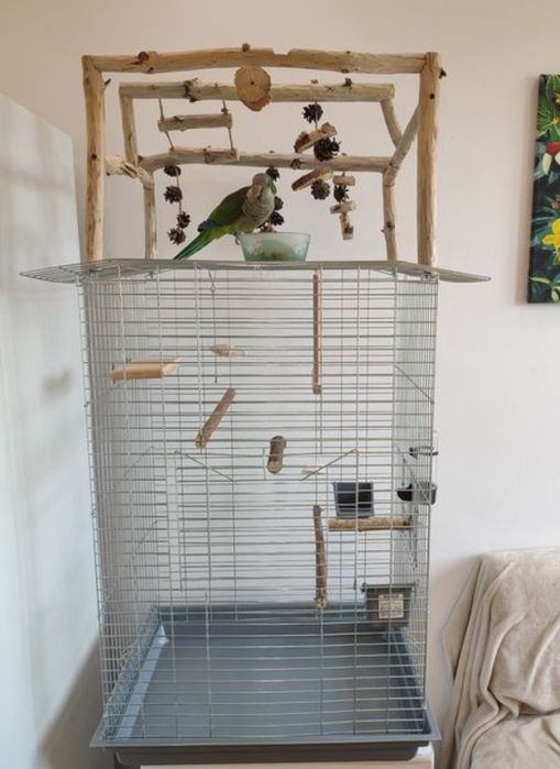 Стенд для папуг, ігрова зона, клітки, стенди, ігровий майданчик