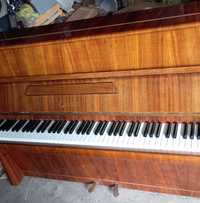 Pianino Calisia M 40