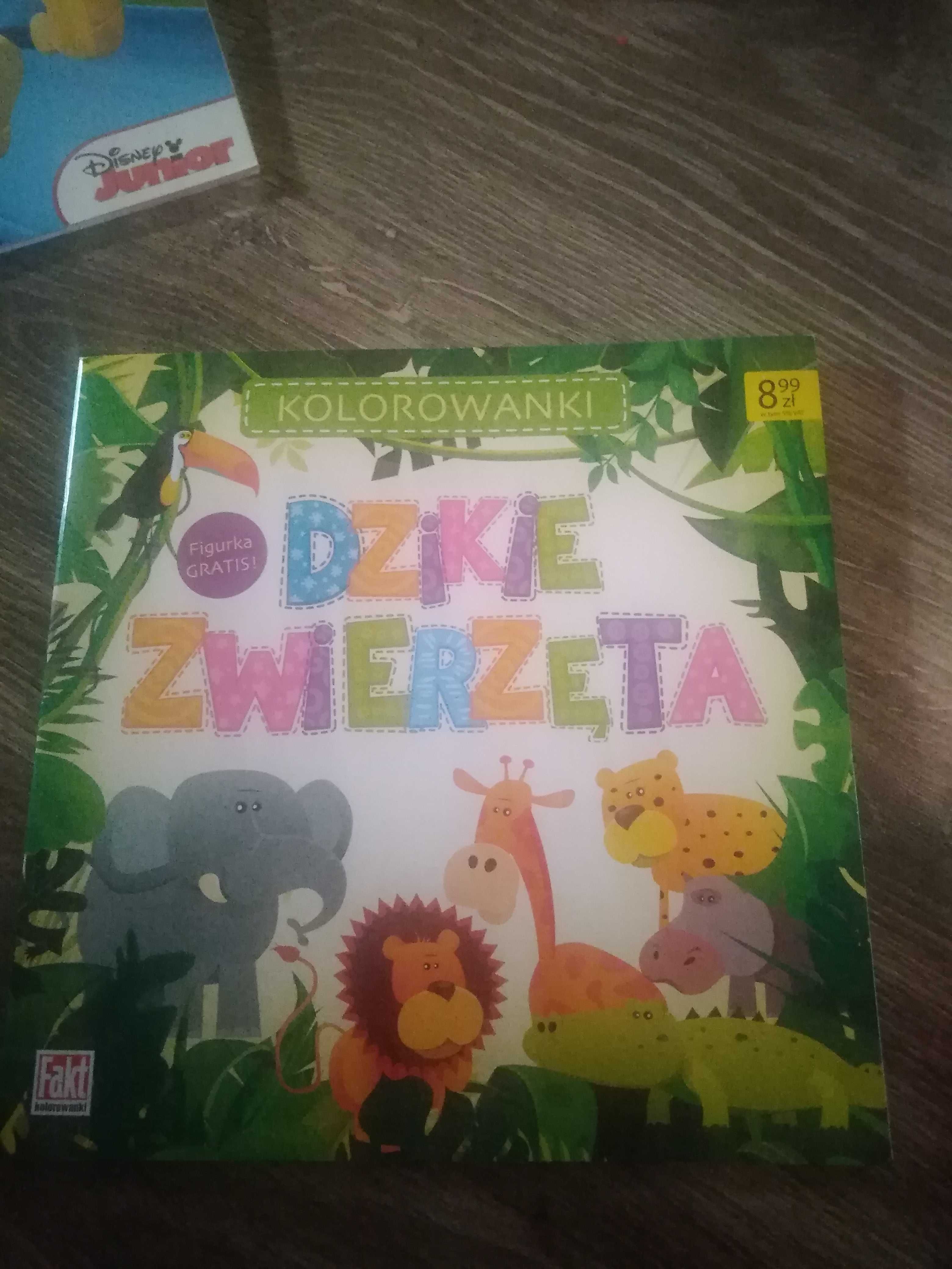 Kolorowanka Dzikie zwierzęta domowe