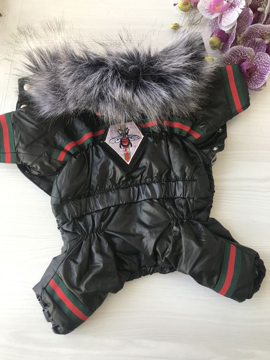 Одежда для собак