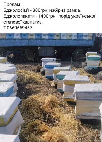 Продам бджолосім'ї та бджолопакети