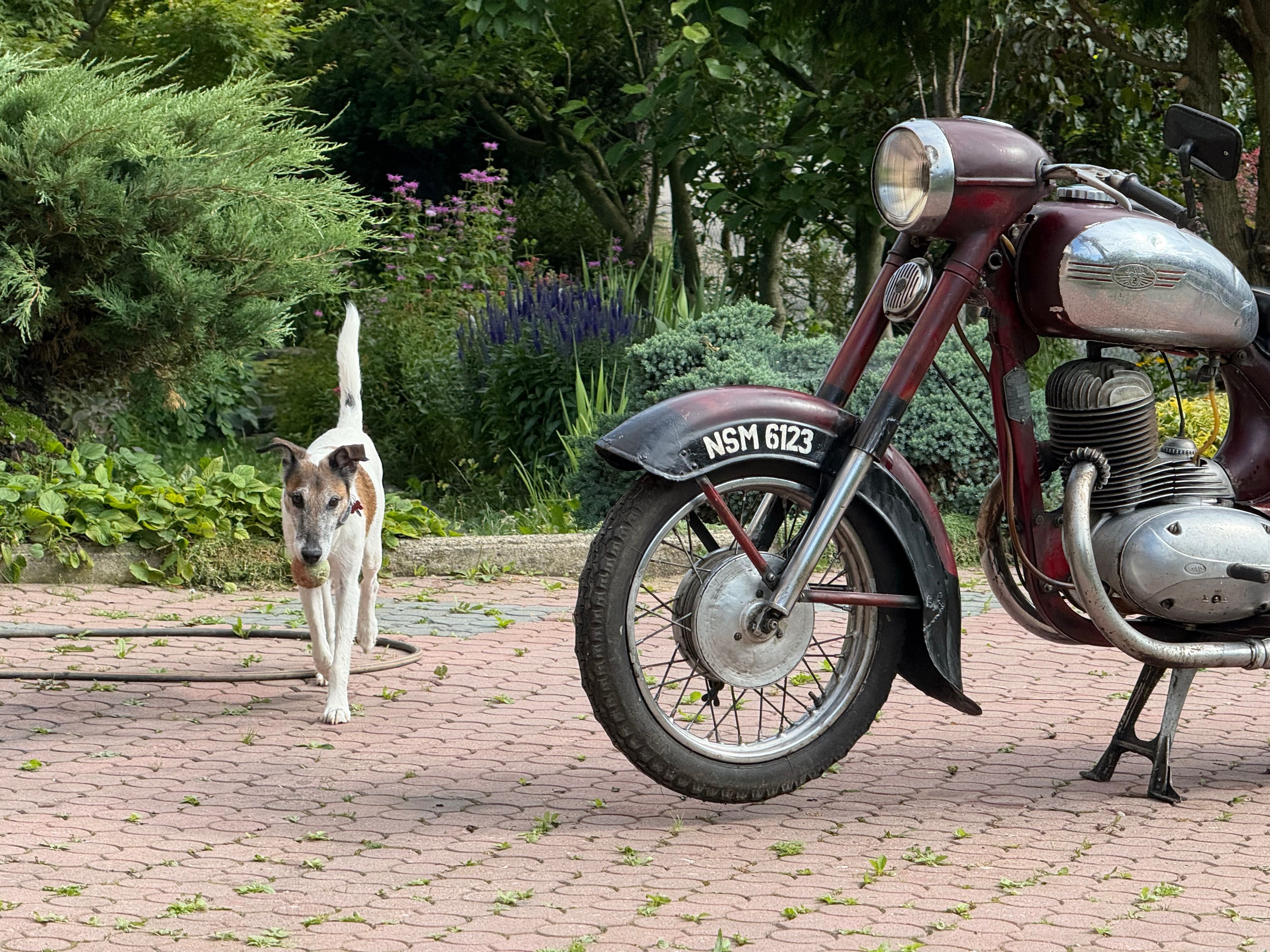 Jawa 250 rocznik 1958