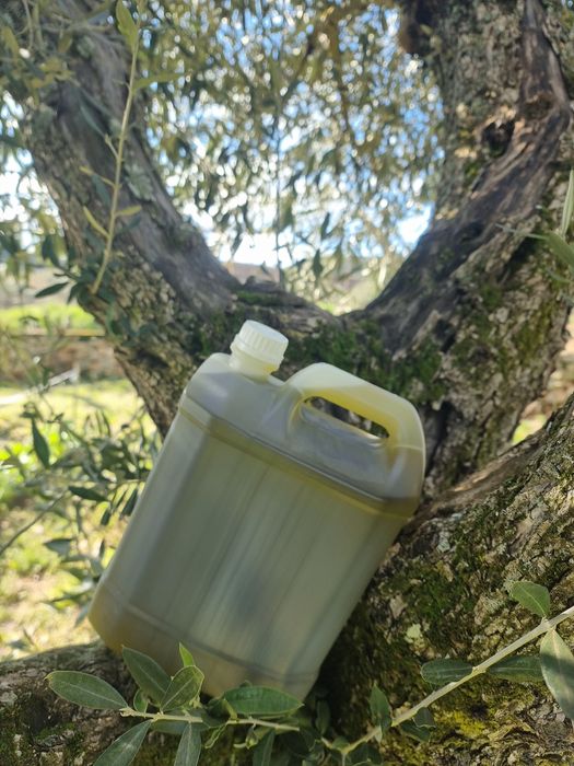 Vendo Azeite Virgem Extra