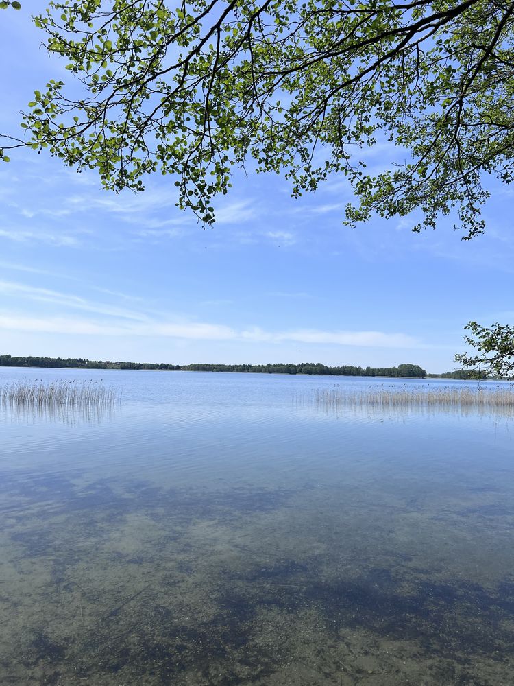 Wynajmę dzialke na Mazurach miejscowosc Elganowo