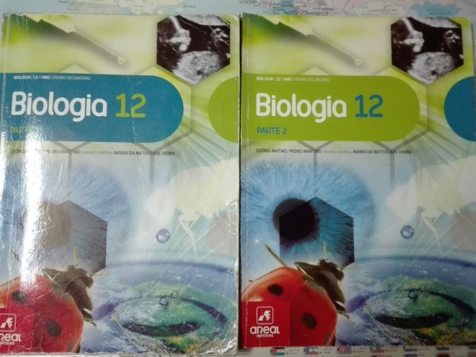 Manual de Biologia 12º ano: Biologia 12 - Areal