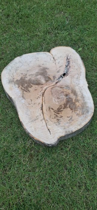 Plastry drewna bukowego