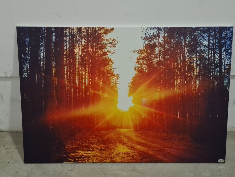 Grzejnik obraz na podczerwień las  580W 59,5x90cm Las pilot