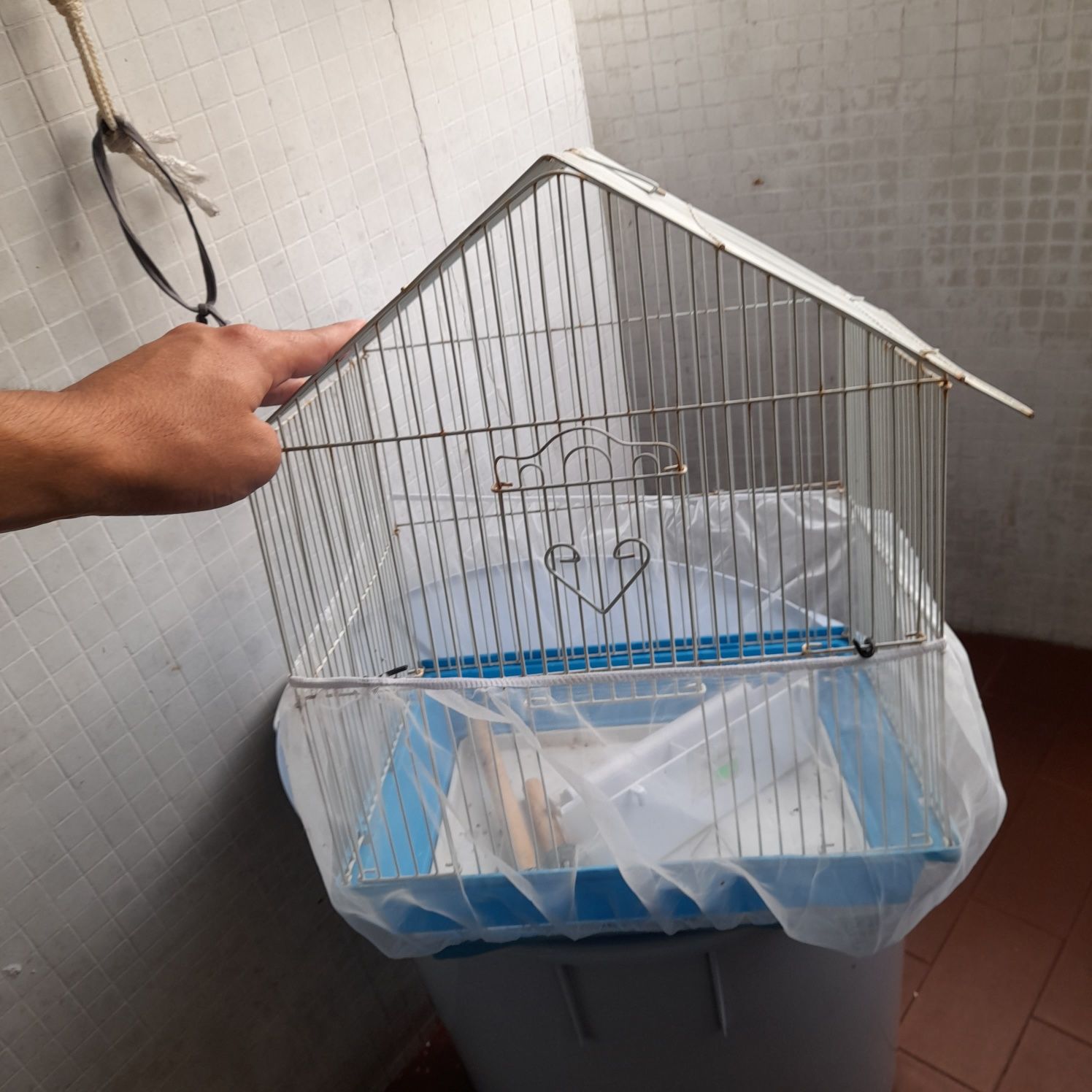 Vendo gaiola + acessórios