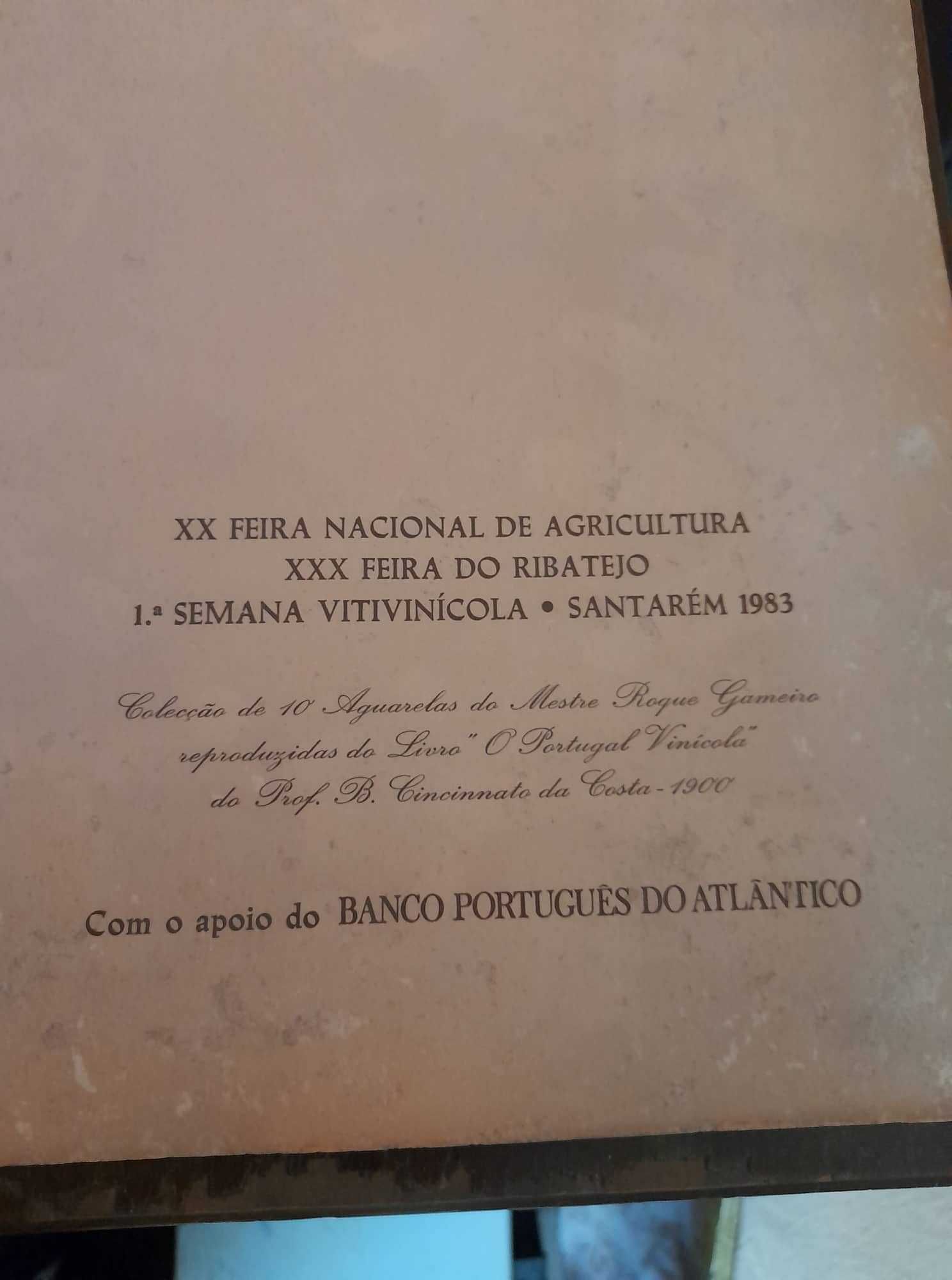 Aguarelas de Roque Gameiro - Santarém: Feira Nac. Agricultura, 1983