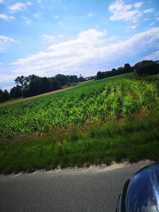 Działki budowlane Tabor Wielki 10 arów